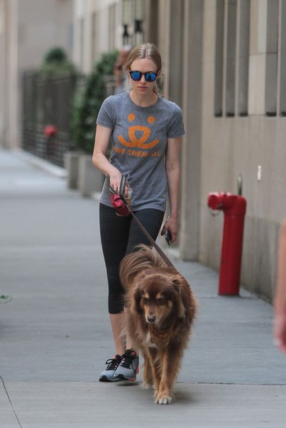 Аманда Сейфрид в Нью-Йорке - 28 июля