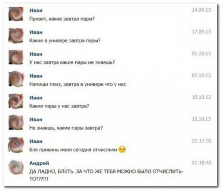 Соц сети не перестают радовать прикольными комментариями.