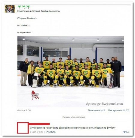 Соц сети не перестают радовать прикольными комментариями.