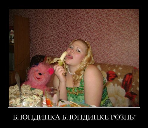 Супер демотиваторы про блондинок