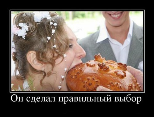 Супер демотиваторы про блондинок