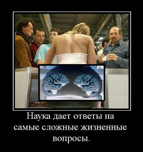 Супер демотиваторы про блондинок