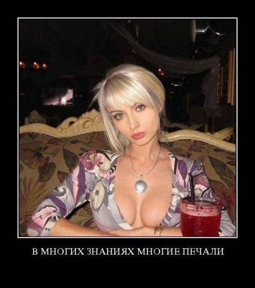 Супер демотиваторы про блондинок