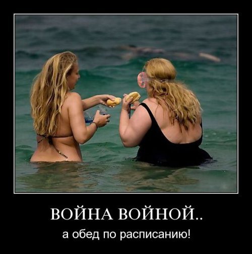 Супер демотиваторы про блондинок