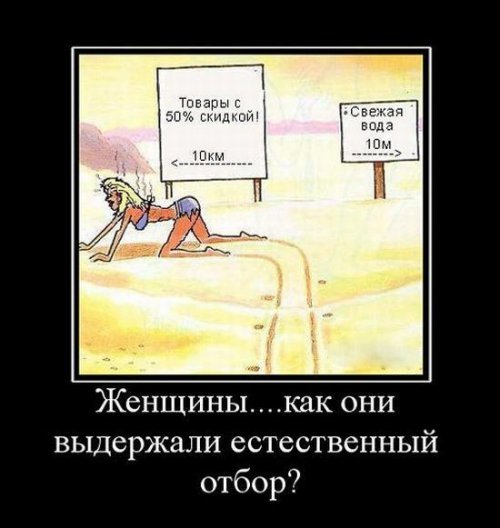 Супер демотиваторы про блондинок