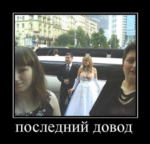 Супер демотиваторы про блондинок