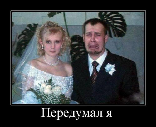 Супер демотиваторы про блондинок