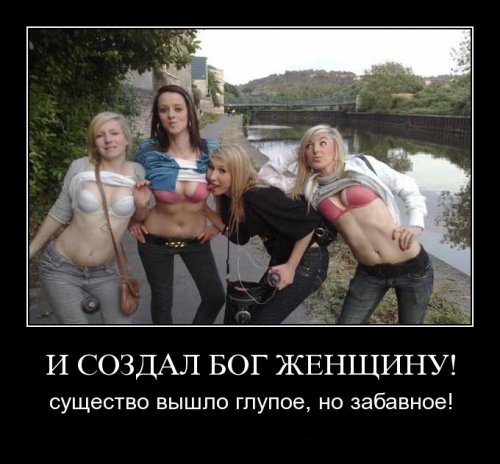 Супер демотиваторы про блондинок