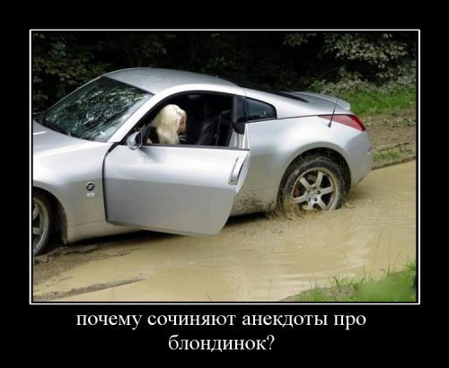 Супер демотиваторы про блондинок