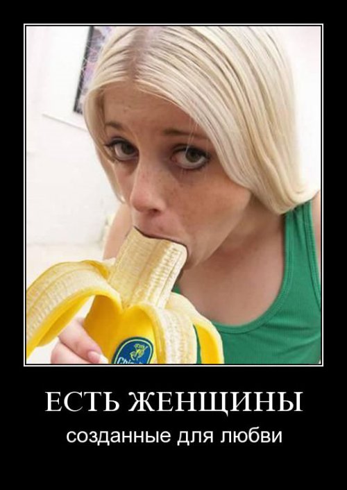 Супер демотиваторы про блондинок