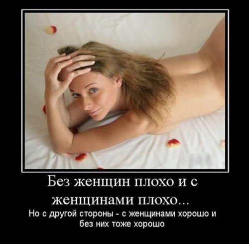 Супер демотиваторы про блондинок