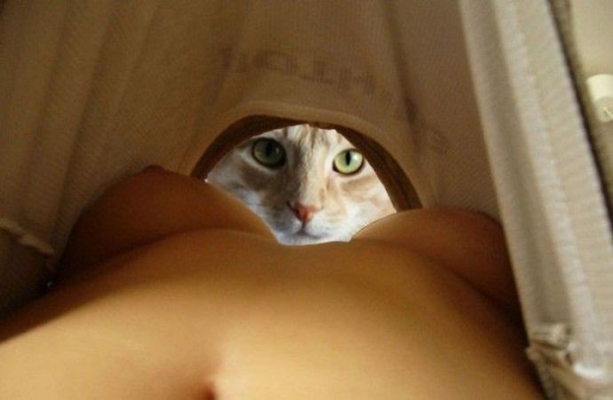 Эротический микс 3 - (эротика)