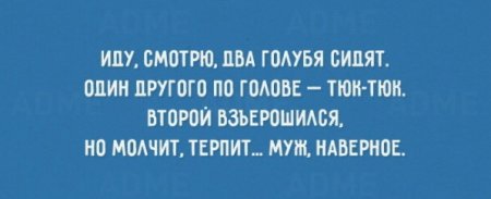 Выражения про мужиков