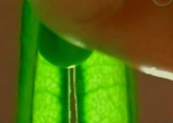 Эротические гифки 29 - (эротика онлайн)