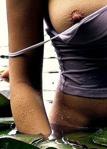 Эротический микс 103 - (фото НЮ)