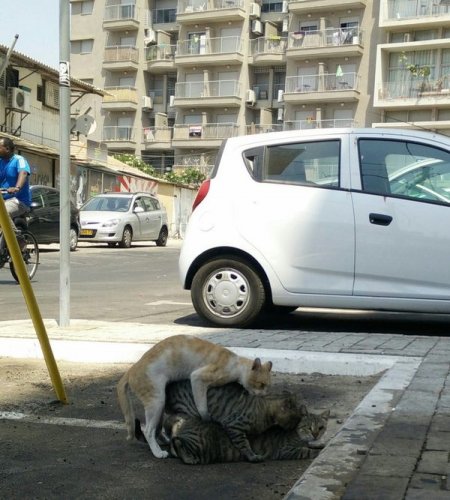 Фото подборочка перед сном