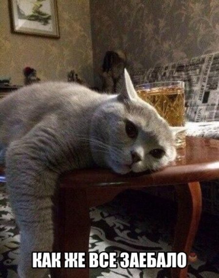 Фото подборочка перед сном