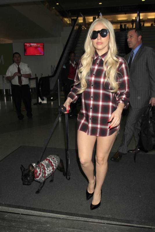 Леди Гага забыла надеть шорты Леди Гага забыла надеть шорты