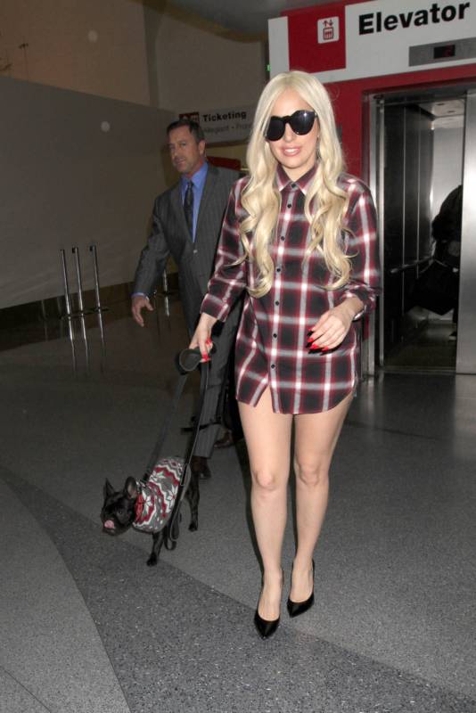 Леди Гага забыла надеть шорты Леди Гага забыла надеть шорты