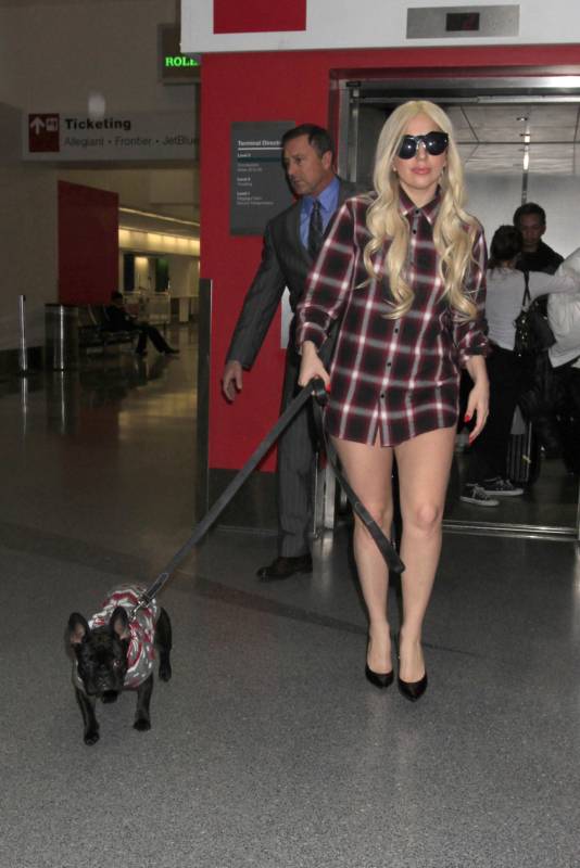 Леди Гага забыла надеть шорты Леди Гага забыла надеть шорты