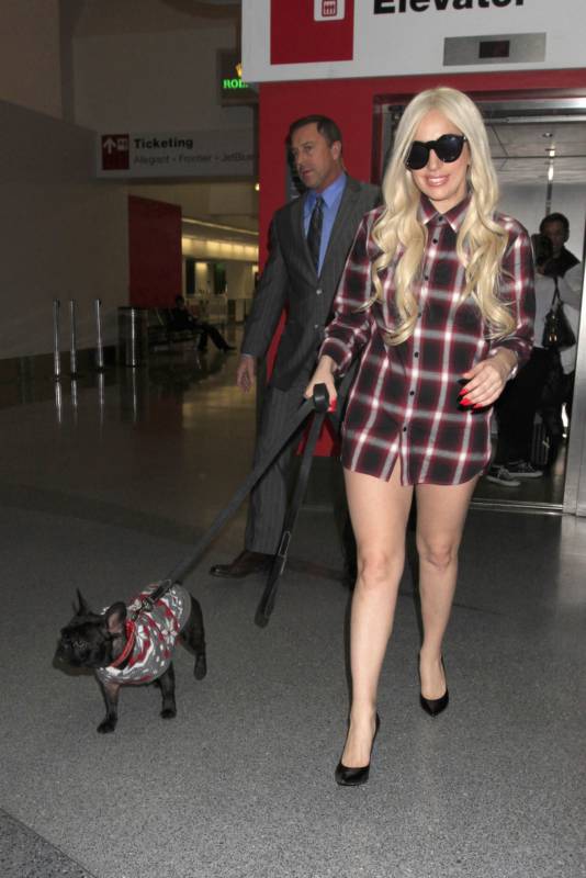 Леди Гага забыла надеть шорты Леди Гага забыла надеть шорты