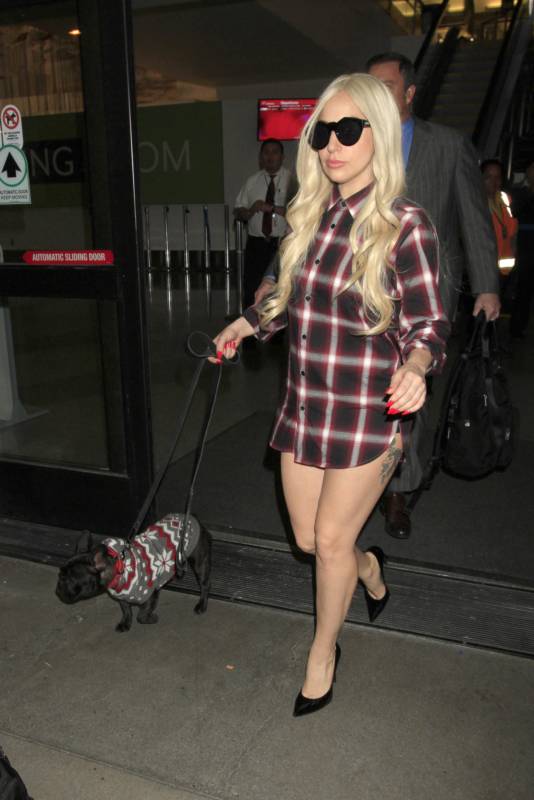 Леди Гага забыла надеть шорты Леди Гага забыла надеть шорты