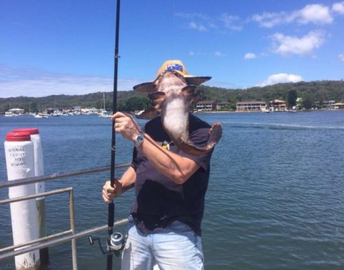 Не самые удачные фото со знаменитостями