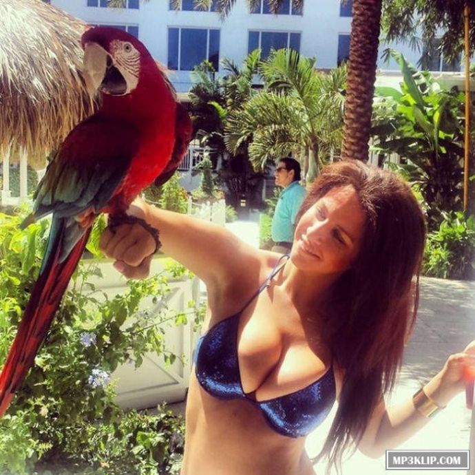 Красивые грудастые девушки