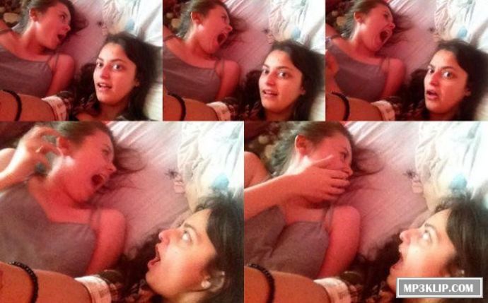 Паук и селфи девчонок