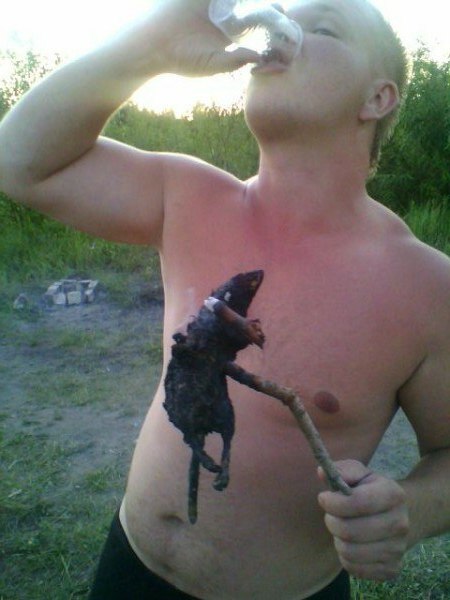 Вестник социальных сетей