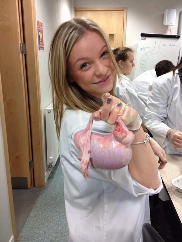 Девушек-ветеринаров лучше обходить стороной Девушек-ветеринаров лучше обходить стороной