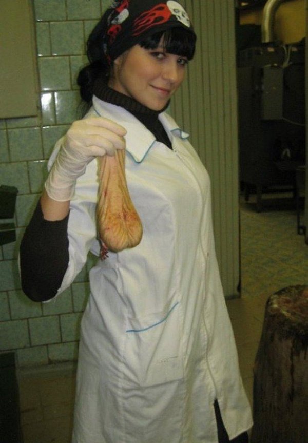 Девушек-ветеринаров лучше обходить стороной Девушек-ветеринаров лучше обходить стороной