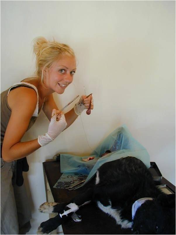 Девушек-ветеринаров лучше обходить стороной Девушек-ветеринаров лучше обходить стороной