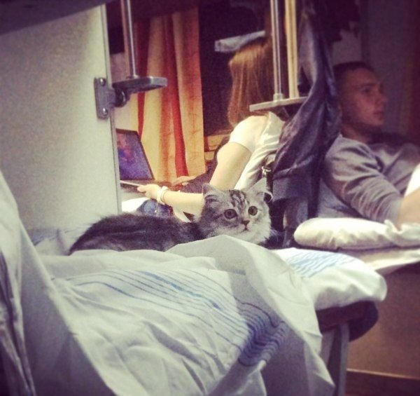 С такими попутчицами и ехать веселей