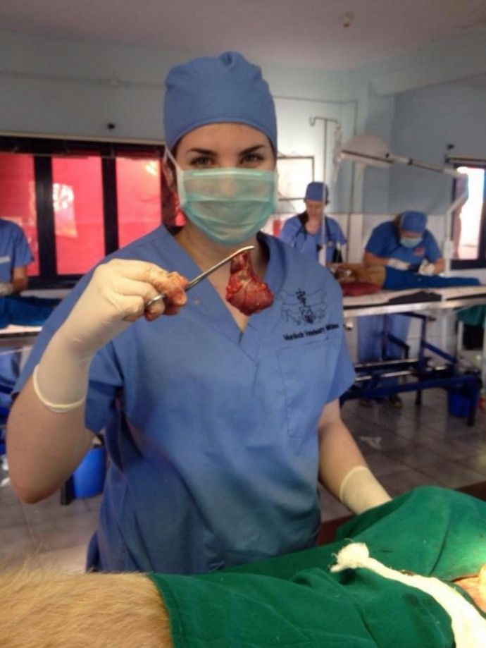 Девушек-ветеринаров лучше обходить стороной