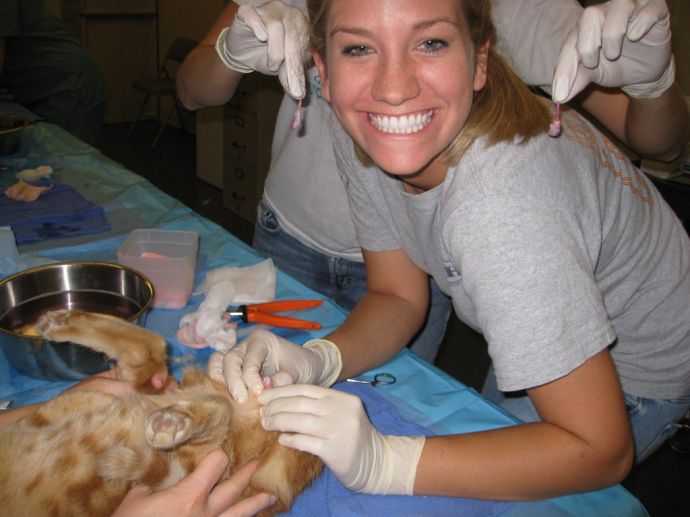 Девушек-ветеринаров лучше обходить стороной