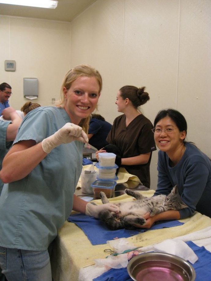 Девушек-ветеринаров лучше обходить стороной