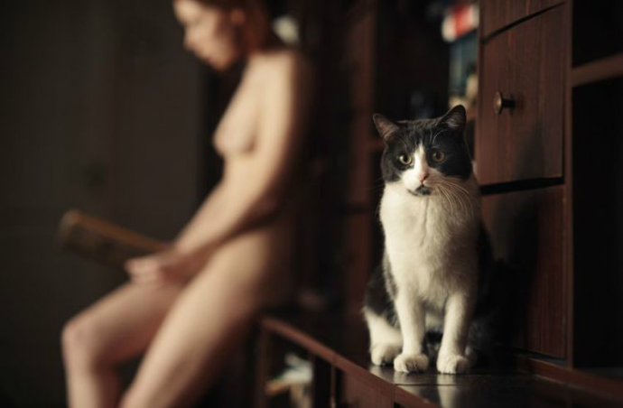 Кошечки (эротика)