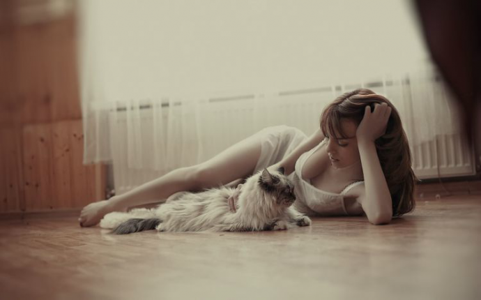 Кошечки (эротика)