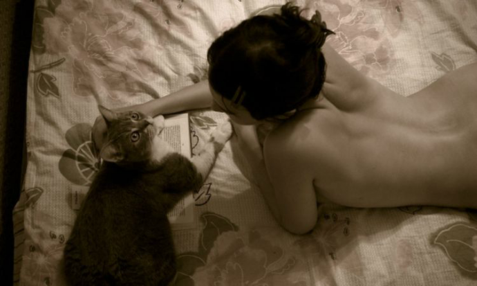 Кошечки (эротика)