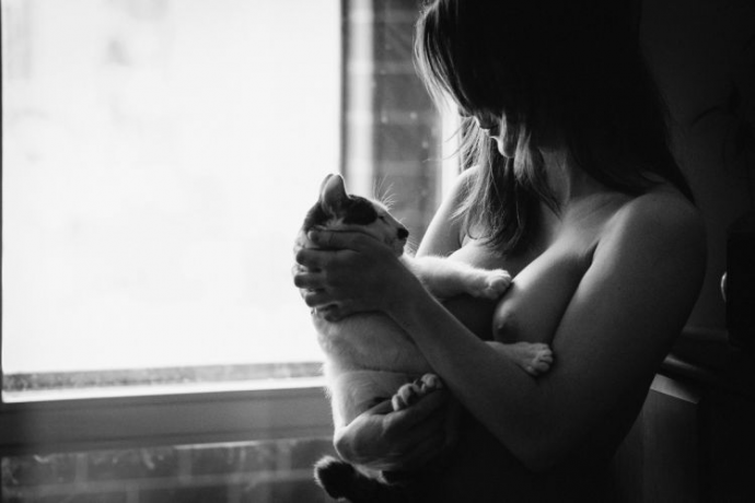 Кошечки (эротика)