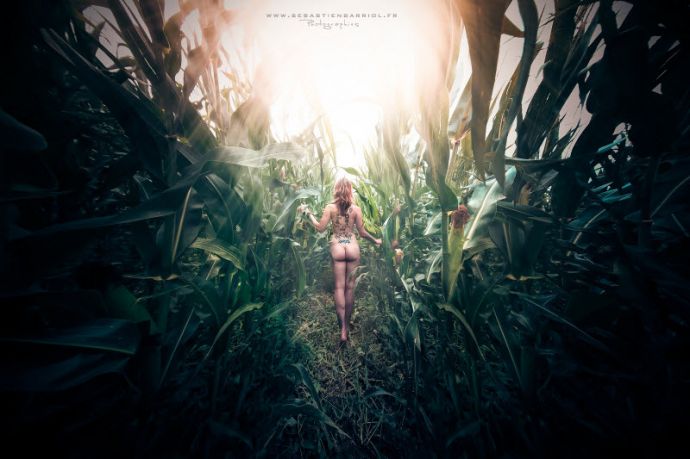 Попки, уходящие вдаль