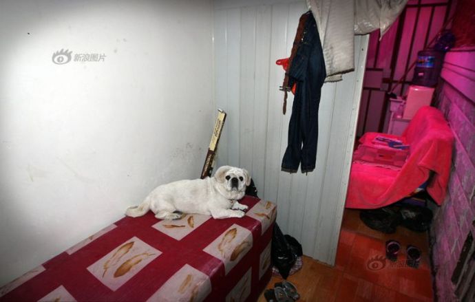 Рабочие места китайских проституток