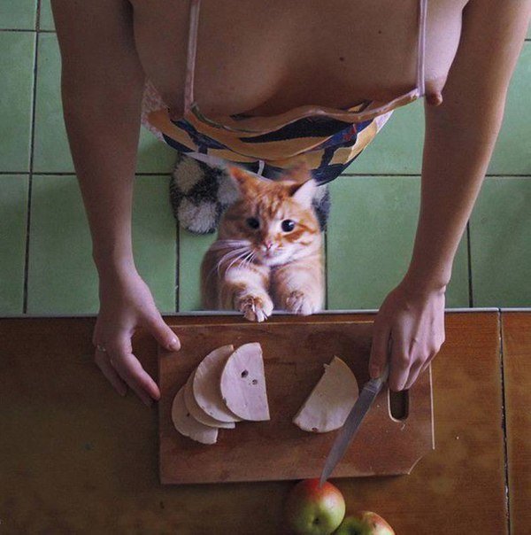 Забавная эротика 16.09.15