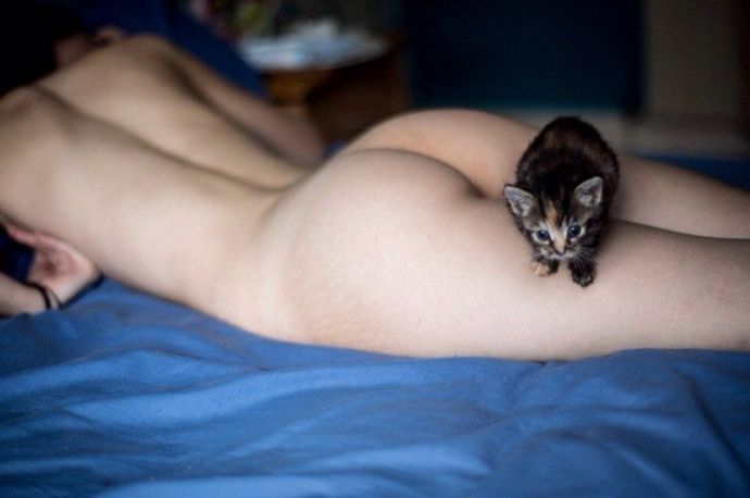 Забавная эротика 30.10.15