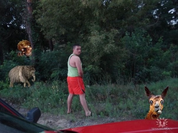 Мудики из социальных сетей