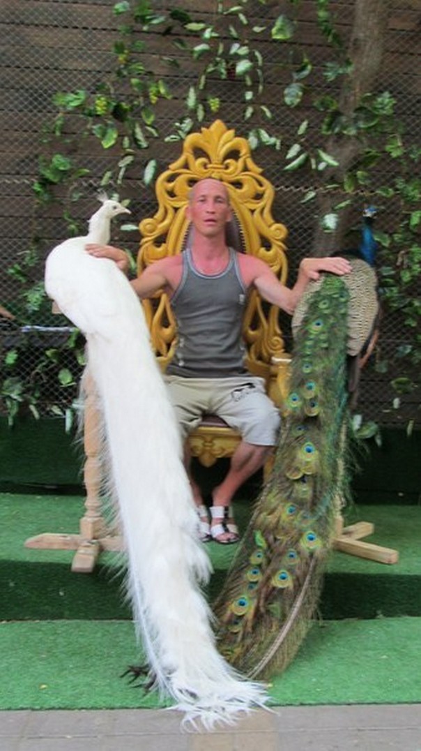 Мудики из социальных сетей