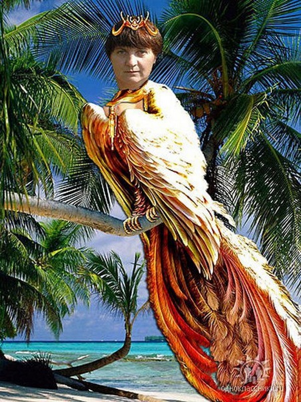 Мудики из социальных сетей