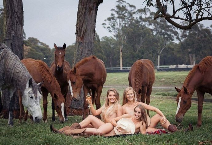 Забавная эротика 10.12.15