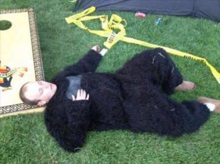 Алкоголь+пиндосы+праздник= фотоприколы!